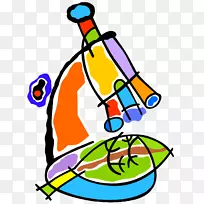 教师生物学教育的艺术与科学-科学家-空若网 教师生物学教育的艺术与科学-科学家-空若网