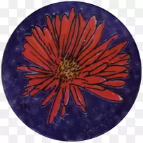 菊花-迪士尼$1993-空若网 菊花-迪士尼$1993-空若网