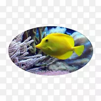 �����������⺣������Ƶ깫��ˮ��ݿ���Ǳˮ��-������