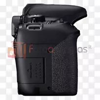 佳能反制t7i/800 d dslr相机,18-55 mm镜头数码单反rcanon-s 18-55 mm镜头canon-s镜头安装在三脚架上-空若网 佳能反制t7i/800 d dslr相机,18-55 mm镜头数码单反rcanon-s 18-55 mm镜头canon-s镜头安装在三脚架上-空若网