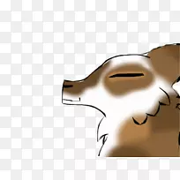 鼻子、脸颊、猫下巴、狗-普利茨克奖前-空若网 鼻子、脸颊、猫下巴、狗-普利茨克奖前-空若网