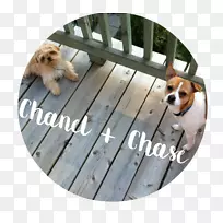 С������Ȯ�ڱ�-�ܿ����ػ�Ѫ��-������