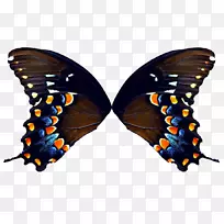 ��������������-���-������