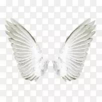 ��ʹ���-������