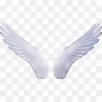 ÌìʹÌùÖ½¼ôÌù»-³á°ò-¿ÕÈôÍø ÌìʹÌùÖ½¼ôÌù»-³á°ò-¿ÕÈôÍø