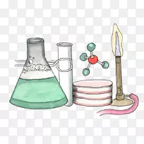 生物科学、化学、物理经验-第一年-空若网 生物科学、化学、物理经验-第一年-空若网