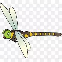 昆虫无花果科剪贴画频率符号-昆虫-空若网 昆虫无花果科剪贴画频率符号-昆虫-空若网