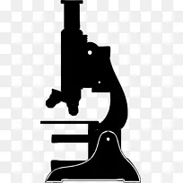 ��Ӱ��ѧ��΢������������΢��-������