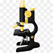 Imagej斐济插接式宏安装显微镜-空若网 Imagej斐济插接式宏安装显微镜-空若网