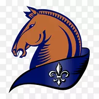 剪贴画马插图价格鼻子-巴洛克马-空若网 剪贴画马插图价格鼻子-巴洛克马-空若网