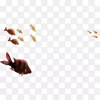 ������ϵ��Ѫ��Ԥ�����������ڷ���-amlϸ��-������