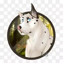 ����ֳ����ɭ���ճ�-��ΰ�ĺڱ�-������