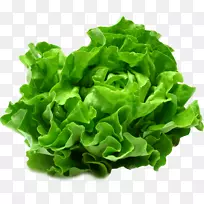生菜、有机食品、蔬菜.色拉蔬菜-空若网 生菜、有机食品、蔬菜.色拉蔬菜-空若网