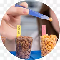 食品加工食品科学实验室婴儿食品-空若网 食品加工食品科学实验室婴儿食品-空若网