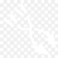 纽西兰武士纽卡斯尔骑士,南悉尼,拉比托,徽标Penrith黑豹-演习-空若网 纽西兰武士纽卡斯尔骑士,南悉尼,拉比托,徽标Penrith黑豹-演习-空若网