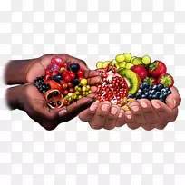 ����ʳ�ﶤ����ʳ���߲�-����ԭס��-������