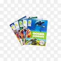 ������(����������ҧ��)ƽװ�����-�����ʼ�������-������