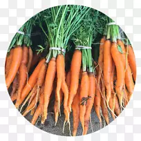小胡萝卜食品蔬菜水果-欧芹虾-空若网 小胡萝卜食品蔬菜水果-欧芹虾-空若网
