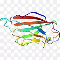 剪贴画线有机体产品点-柯萨奇病毒-空若网 剪贴画线有机体产品点-柯萨奇病毒-空若网