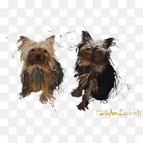 约克郡猎犬-罗塞代尔-摩尔公园兽医诊所-空若网 约克郡猎犬-罗塞代尔-摩尔公园兽医诊所-空若网