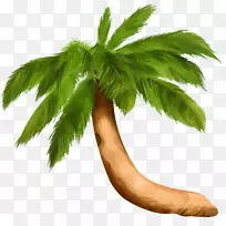 棕榈树分公司互联网论坛adobe Photoshop-tree-空若网 棕榈树分公司互联网论坛adobe Photoshop-tree-空若网