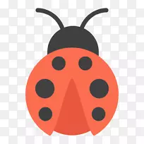 ����������ͼ���ͼ�����ļ�����ư�濨ͨ-������