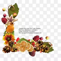 圣诞装饰品超级食品圣诞节水果-空若网 圣诞装饰品超级食品圣诞节水果-空若网