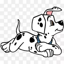 ��������ǹ�������һ��һԪ��������ȮƷ��-�����ᰲ1-������