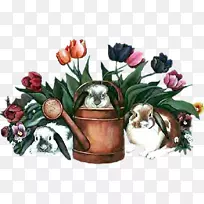 动画吉夫形象春天复活节-动画-空若网 动画吉夫形象春天复活节-动画-空若网