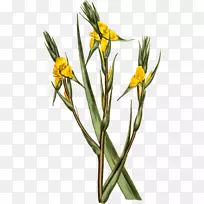 »¨½·»¨-¿ÕÈôÍø »¨½·»¨-¿ÕÈôÍø