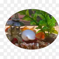 kotlin android软件开发者google Developer组google开发者-有趣的鱼缸-空若网 kotlin android软件开发者google Developer组google开发者-有趣的鱼缸-空若网