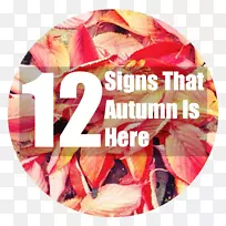 秋天到了!路标儿童博客-秋季女孩-空若网 秋天到了!路标儿童博客-秋季女孩-空若网