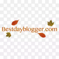 商标字体桌面壁纸品牌博客-夏季时装秀海报-空若网 商标字体桌面壁纸品牌博客-夏季时装秀海报-空若网