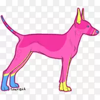 Ȯ�ּ������ۺ����-ɳ̲���ֳ�-������