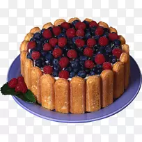 ʳָ�ɿ������������ظ�����-�������-������