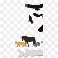 犬科野马数码动物园大亨2-幼年金鹰对秃鹰-空若网 犬科野马数码动物园大亨2-幼年金鹰对秃鹰-空若网