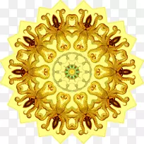 Adobe�廭ʦadobe Muse adobe CreativeCloudadobe Inc.-װ����-������