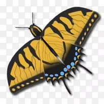 µÛÍõµû£¬Ã«Ë¢µû£¬»¢Èéµû£¬ºûµû-¿ÕÈôÍø µÛÍõµû£¬Ã«Ë¢µû£¬»¢Èéµû£¬ºûµû-¿ÕÈôÍø