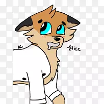 胡须,猫狗夹鼻子-哦,我的天啊,宠物-空若网 胡须,猫狗夹鼻子-哦,我的天啊,宠物-空若网