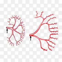 剪贴画插图手指角点角-空若网 剪贴画插图手指角点角-空若网