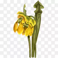 ������¶̨pngͼƬͼƬ��.��ɫ��������nm-������