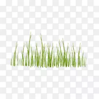 pngͼƬͼÏñÏÂÔØ¼ôÌù»Í¼ÐÎ²ÝÆ½Ô±ÚÖ½-¿ÕÈôÍø pngͼƬͼÏñÏÂÔØ¼ôÌù»Í¼ÐÎ²ÝÆ½Ô±ÚÖ½-¿ÕÈôÍø