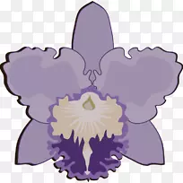 �������ɶ���������ֲ��-������