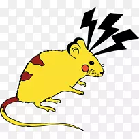 ����������ͨ�������-����-������