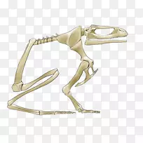 产品设计手指骨架-大理石纹-空若网 产品设计手指骨架-大理石纹-空若网