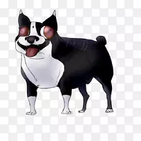 犬种非运动群繁殖组(狗)鼻子-动物沙滩动物-空若网 犬种非运动群繁殖组(狗)鼻子-动物沙滩动物-空若网