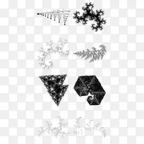 ������ѧEnneper����Fraenkelͼ��-��ѧ-������