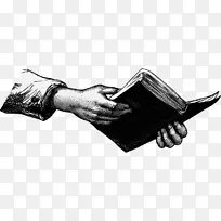 书籍作者培根派科学评论-书-空若网 书籍作者培根派科学评论-书-空若网