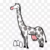 �����������ﾱ��-������