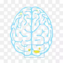 双耳录音和复制心理声学.右脑数学-空若网 双耳录音和复制心理声学.右脑数学-空若网